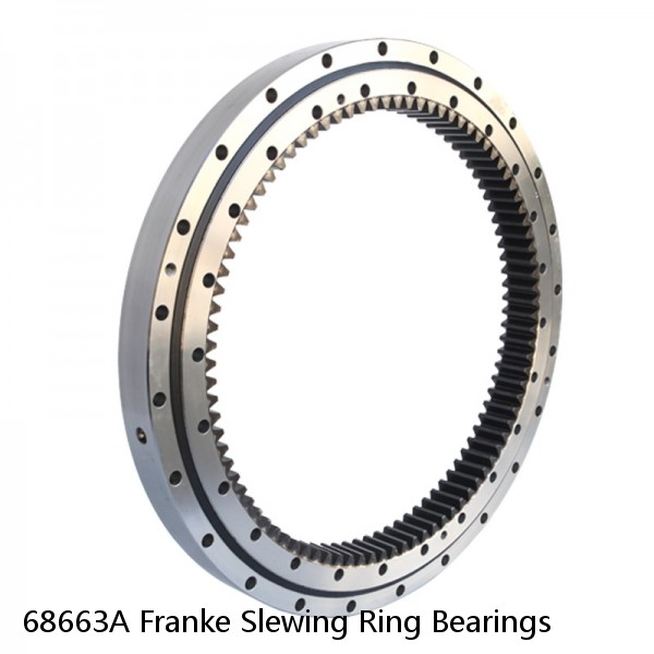 68663A Franke Slewing Ring Bearings