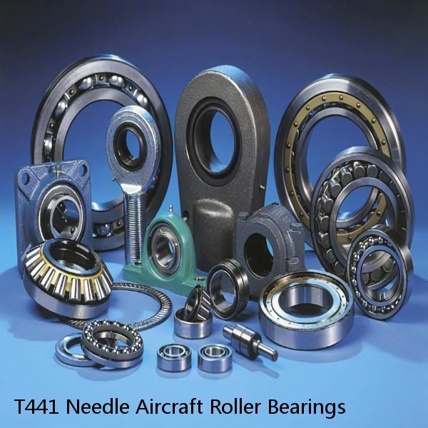 T441 Needle Aircraft Roller Bearings