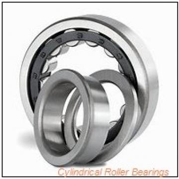 0.669 Inch | 17 Millimeter x 1.575 Inch | 40 Millimeter x 0.472 Inch | 12 Millimeter  CONSOLIDATED BEARING N-203E  Cylindrical Roller Bearings