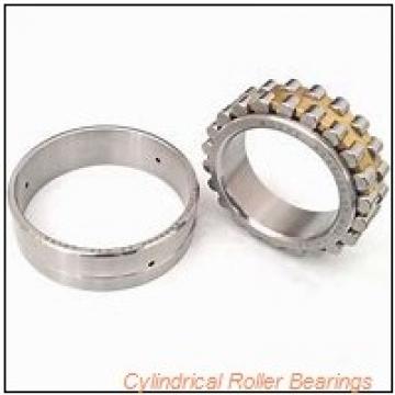 1.181 Inch | 30 Millimeter x 2.165 Inch | 55 Millimeter x 0.512 Inch | 13 Millimeter  CONSOLIDATED BEARING NU-1006 M C/3  Cylindrical Roller Bearings