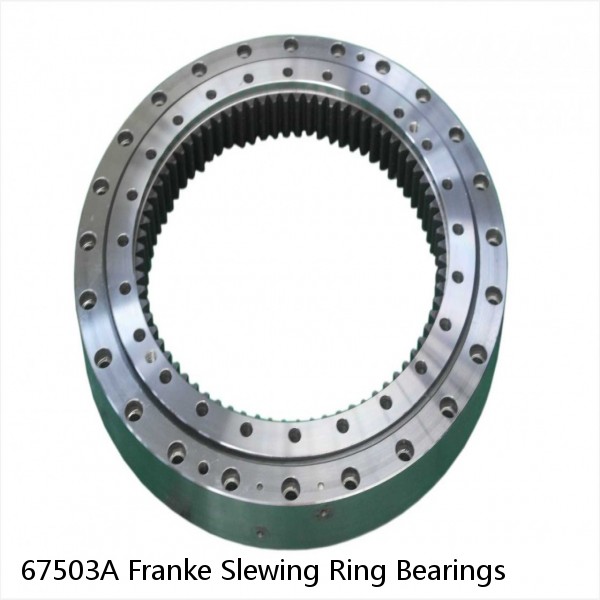 67503A Franke Slewing Ring Bearings