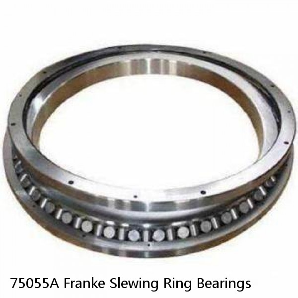 75055A Franke Slewing Ring Bearings