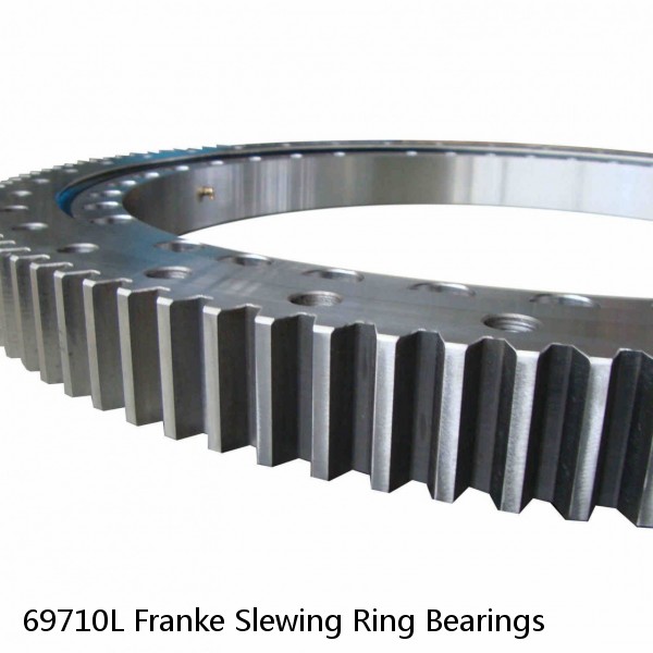 69710L Franke Slewing Ring Bearings