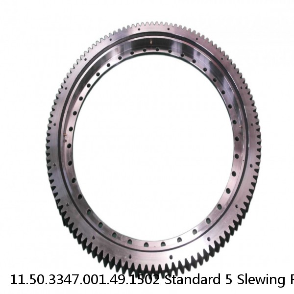 11.50.3347.001.49.1502 Standard 5 Slewing Ring Bearings