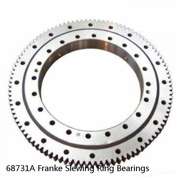 68731A Franke Slewing Ring Bearings