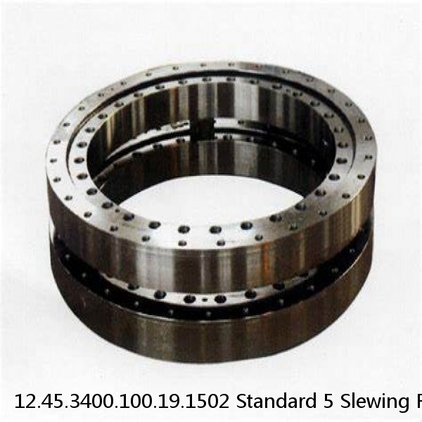 12.45.3400.100.19.1502 Standard 5 Slewing Ring Bearings