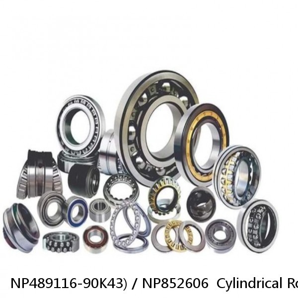 NP489116-90K43) / NP852606  Cylindrical Roller Bearings