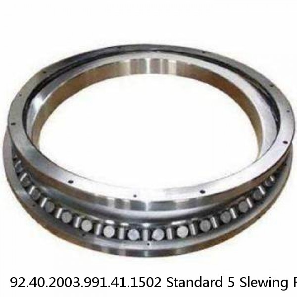 92.40.2003.991.41.1502 Standard 5 Slewing Ring Bearings