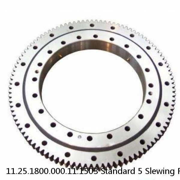 11.25.1800.000.11.1503 Standard 5 Slewing Ring Bearings