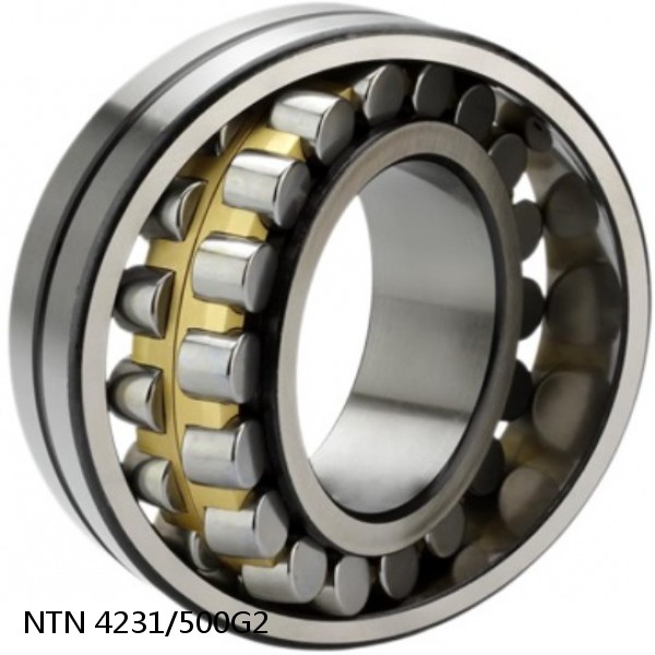 4231/500G2 NTN Cylindrical Roller Bearing