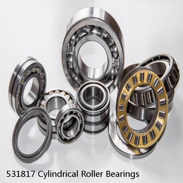 531817 Cylindrical Roller Bearings