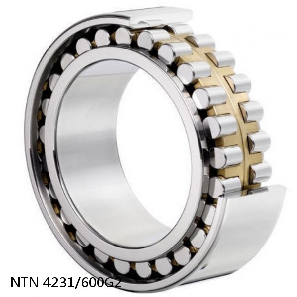 4231/600G2 NTN Cylindrical Roller Bearing