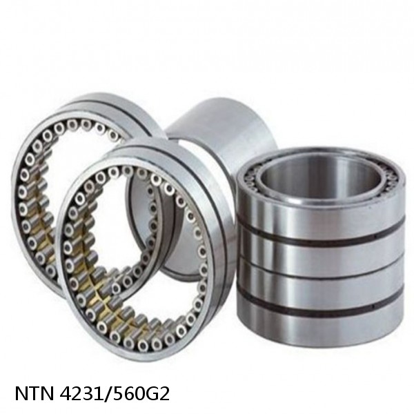 4231/560G2 NTN Cylindrical Roller Bearing