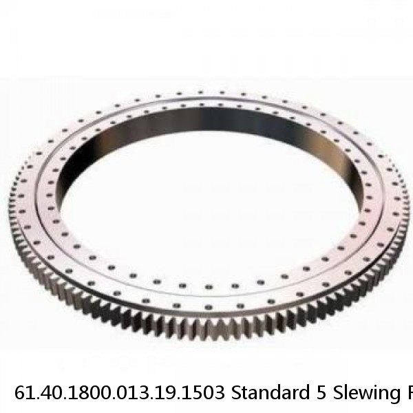 61.40.1800.013.19.1503 Standard 5 Slewing Ring Bearings