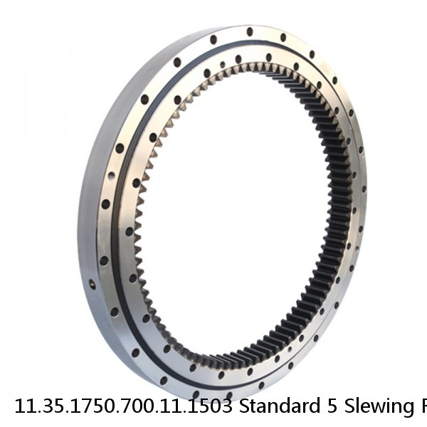 11.35.1750.700.11.1503 Standard 5 Slewing Ring Bearings