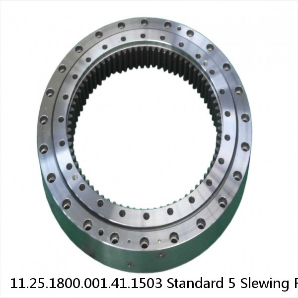 11.25.1800.001.41.1503 Standard 5 Slewing Ring Bearings