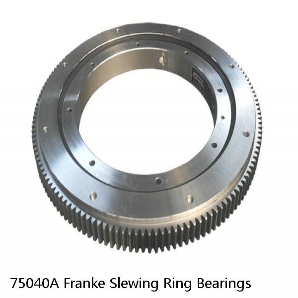 75040A Franke Slewing Ring Bearings