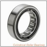 0.787 Inch | 20 Millimeter x 1.85 Inch | 47 Millimeter x 0.551 Inch | 14 Millimeter  CONSOLIDATED BEARING N-204E C/3  Cylindrical Roller Bearings